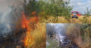 Incendiu de vegetație uscată (2)