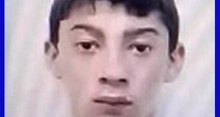 Minor-plecat-voluntar (1)