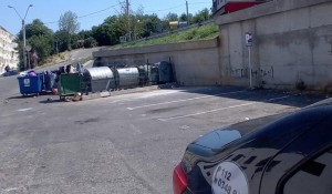 Poliția Locală Pitești (1)