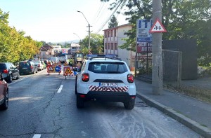 Poliția Locală Pitești (3)