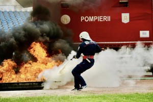 Rezultatele concursurilor profesionale (3)