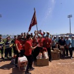 Rezultatele concursurilor profesionale (4)