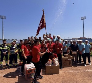 Rezultatele concursurilor profesionale (4)