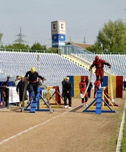 Rezultatele concursurilor profesionale (5)