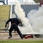 Rezultatele concursurilor profesionale (8)