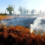 c36b3b0e-4233-47c1-963a-f716fd989da4