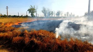 c36b3b0e-4233-47c1-963a-f716fd989da4