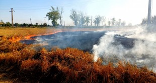 c36b3b0e-4233-47c1-963a-f716fd989da4