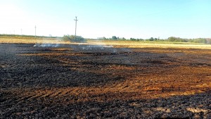 ce923600-1851-42ba-b86f-9030c08b6872