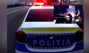 comportament-agtrsiv