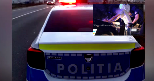 comportament-agtrsiv