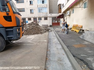 controale politia locala pitesti (2)