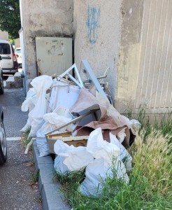 controale politia locala pitesti (3)