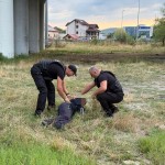 controale politia locala pitesti (4)