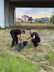 controale politia locala pitesti (4)
