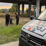 controale politia locala pitesti (6)