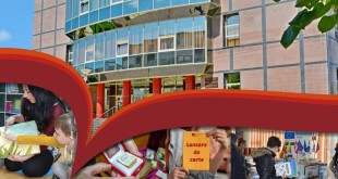 cultural – artistice (3)