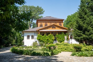 cultural – artistice (4)