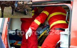 căzut-dintr-un-atelaj