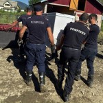 e62f44dd-c14d-475b-9055-ab67f5dee887