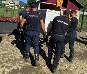 e62f44dd-c14d-475b-9055-ab67f5dee887