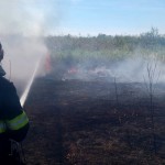 incendii arges (1)