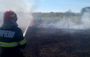 incendii arges (1)