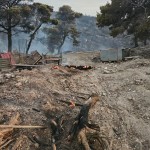 incendii grecia (11)