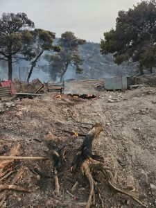 incendii grecia (11)