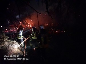 incendii grecia (4)