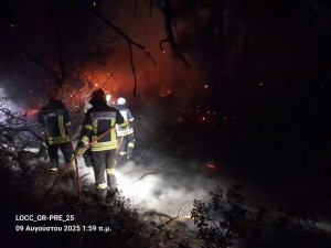 incendii grecia (5)
