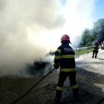 incendiu auto mioarele arges (2)
