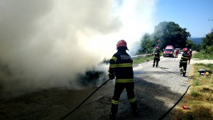 incendiu auto mioarele arges (2)