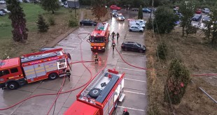 incendiu firma -pitesti (4)