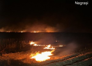 inteventie isu arges (1)