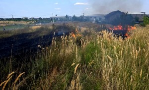 inteventie isu arges (2)