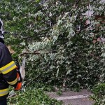 inteventie isu arges (4)