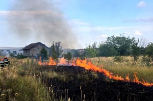 inteventie isu arges (5)