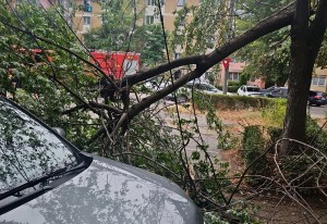 inteventie isu arges (6)