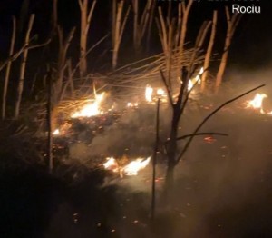 inteventie isu arges (8)