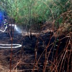 inteventie isu arges (9)