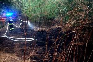 inteventie isu arges (9)