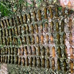 munitie gasita -bascov (2)