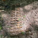 munitie gasita -bascov (4)