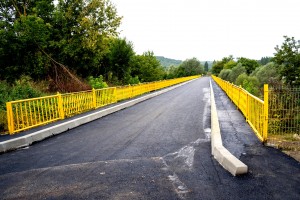 podul de la Valea Danului (1)