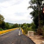 podul de la Valea Danului (3)