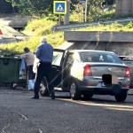 politia locala - amenzi (2)