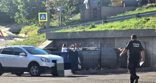 politia locala - amenzi (3)