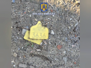 prins în flagrant (10)