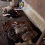 prins în flagrant (4)